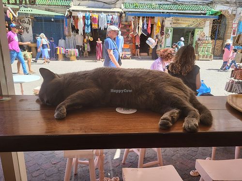  at Pumpkin  in Essaouira