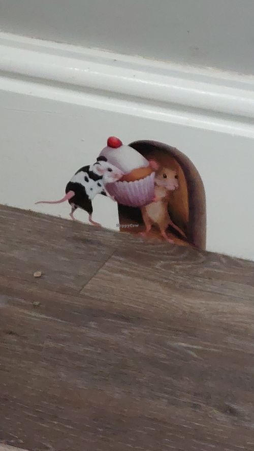  at Friends of Oldway Tea Room in Paignton