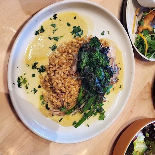 Mushroom Risotto at Luma Riverfront Bar & Eatery in Petaluma