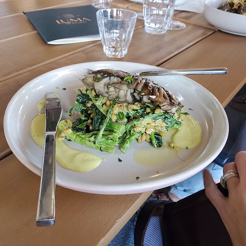 Hen of the Woods Mushroom at Luma Riverfront Bar & Eatery in Petaluma