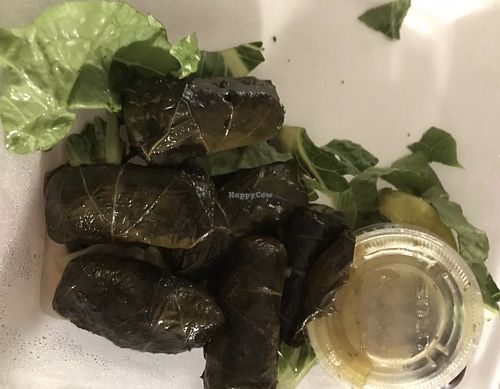 Dolmas   at Opa Opa Greek Restaurant in Rochester