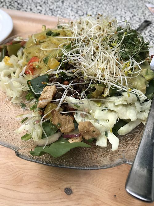 Delicious salad variety at Cassius Garten in Bonn