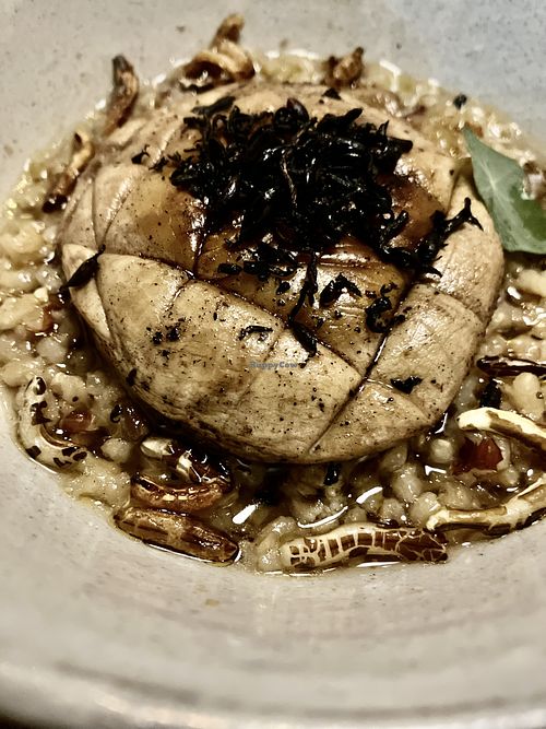 Lamen risotto with marinated mushroom and wakame crispy  at Conca Cozinha Original in Brasilia