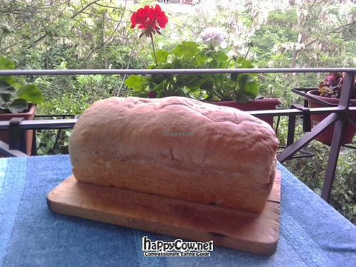  at Zeitgusto in Grottaferrata