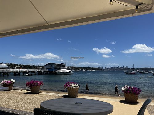The view  at Doyles on the Beach in Watsons Bay