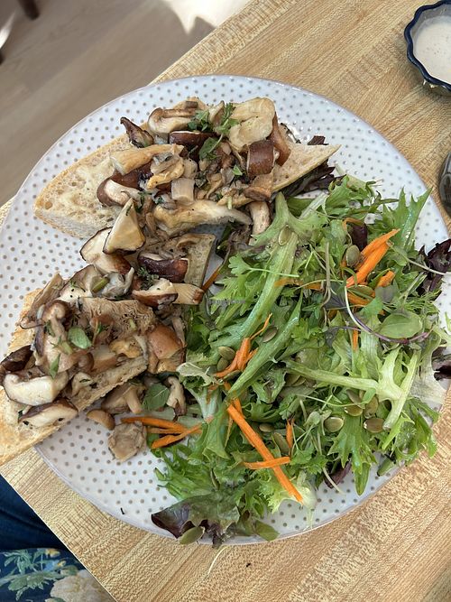 Mushroom sandwich   at Cafe' Xocolatl in Sacramento