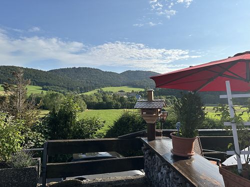 Aussicht von der Terrasse   at Landgasthof Bergblick in Bernau Im Schwarzwald