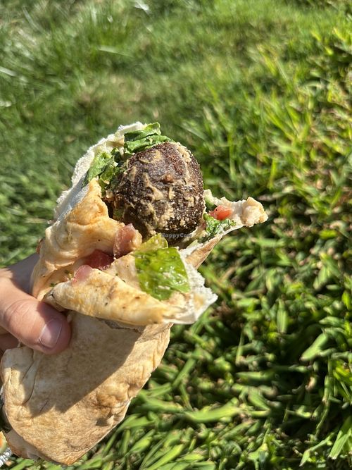 Falafel sandwich  at Amanouz Café in Northampton