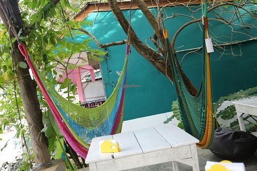 Hammocks at Drunken Sailors in Koh Lanta