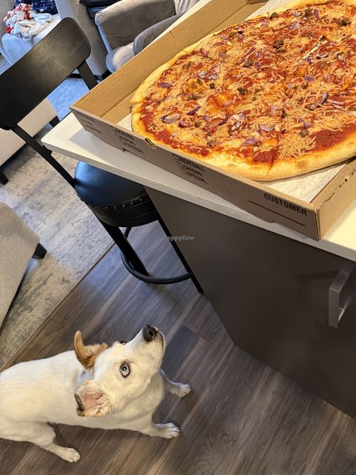 Puppy did end up sneaking a bite when I wasn’t looking - she loved it too! 🐾  at Family Pizza Dough in Wakefield