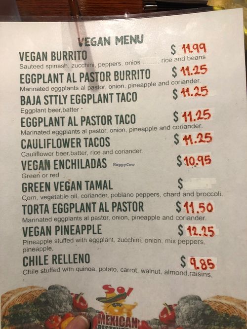 Their vegan menu!  at Sol Mexican Restaurant in Canton
