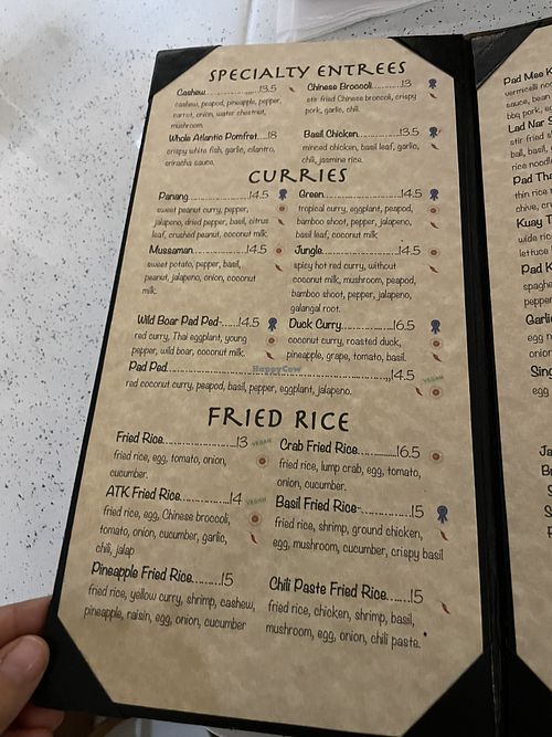 Entree  at Andy's Thai Kitchen in Chicago