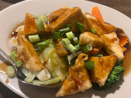 tofu and veggies: tofu twice cookedd  at Bangkok Cuisine in Homestead