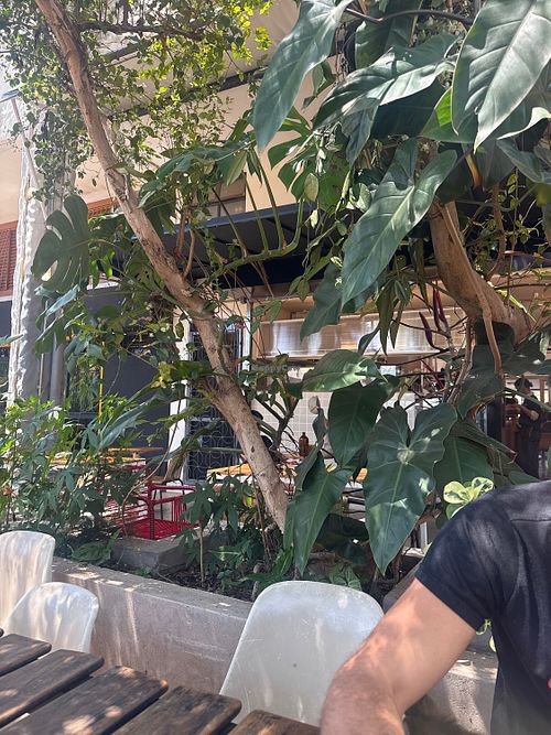   at Civitá Café in Brasilia