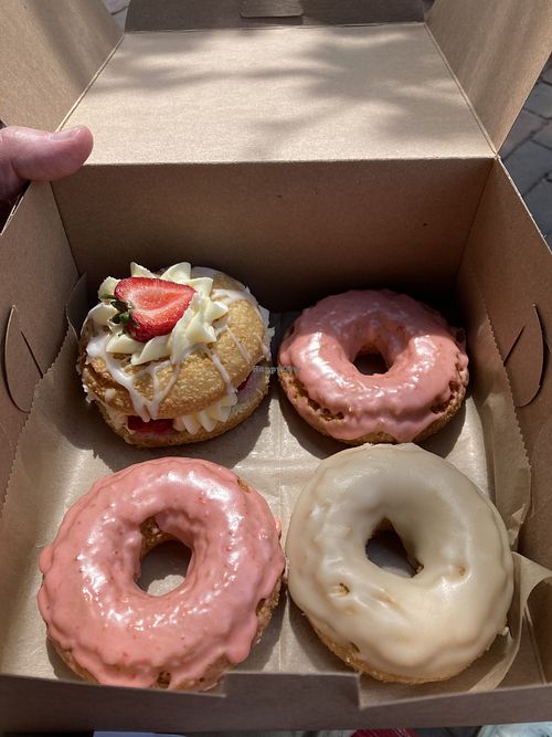 All vegan and gluten freee  at Lovebirds Donuts in Portsmouth
