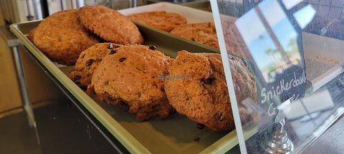 Vegan Choco chip and gingersnap cooks at Echo Coffee in Scottsdale