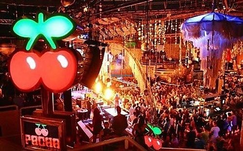   at Pacha Sharm el Sheikh in Sharm El Sheikh