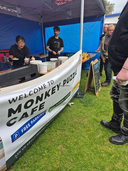  at The Monkey Puzzle in Ilfracombe