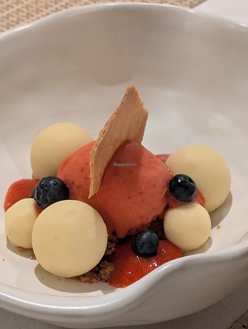 White chocolate covered frozen cheeseballs with sorbet at Kina Kind Cuisine in Pattaya