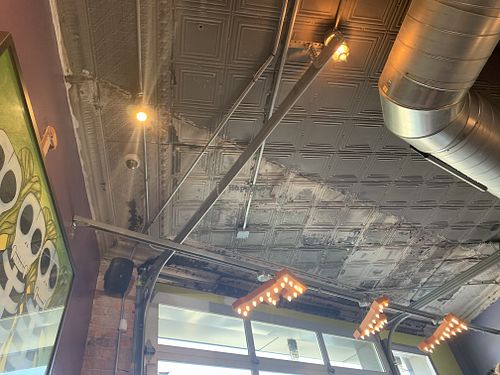 Fly at The Fly Trap in Ferndale