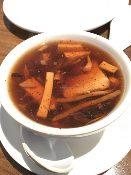 Hot and Sour Soup at Green Sprout in Atlanta