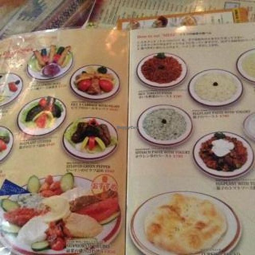 this is vegetable Menu you can try Rice. or bread and solid at Pamukkale in Tokyo