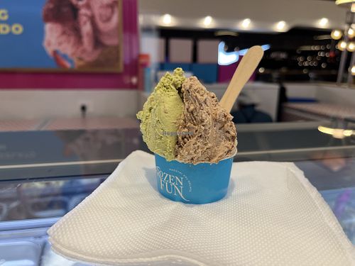 Image of Frozen Fun Gelato