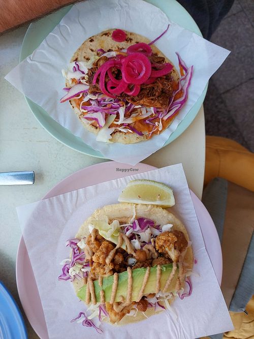  at El Burro Taqueria in Cape Town