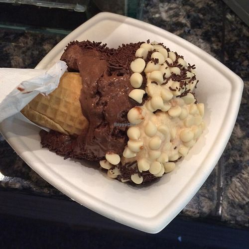 salted caramel and brownie  at FoMu in Allston