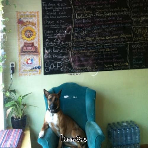 Master of the House at Sappies in Amsterdam