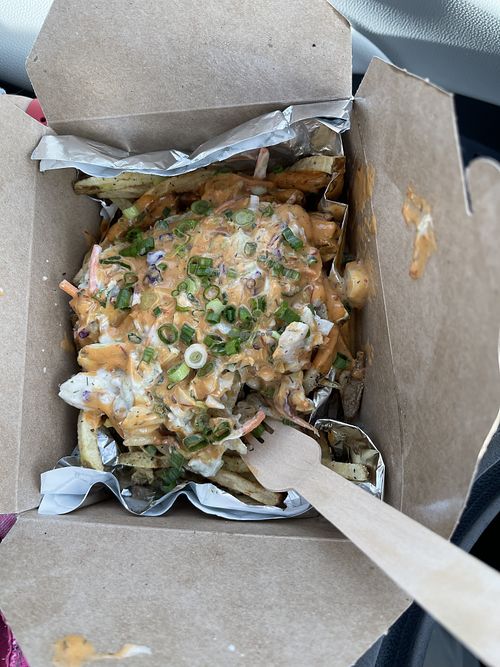 fries from scratch with cold slaw, vegan cheese, sour cream , scallions.  Very filling😋  at Ingenious Vegan Food  in Sacramento
