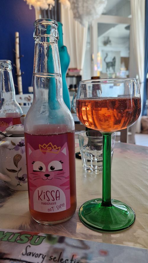 Lovely! at Cat Cafe Tiramisu in Kuopio