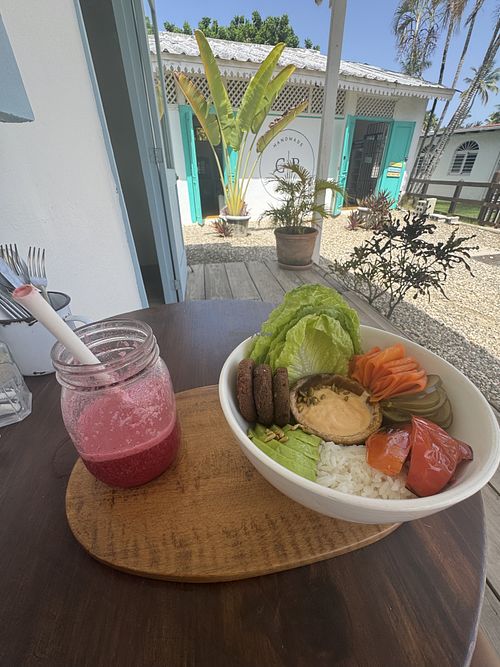 Pink moon smoothie and sabroso bowl  at Gypsy Bowls in Cabarete