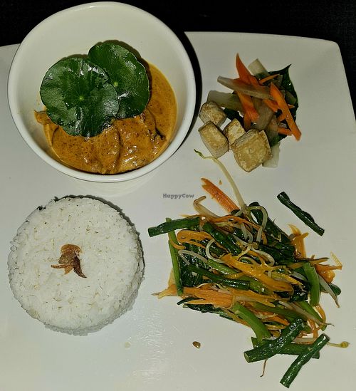 Tempeh rendang at Fat Cupid in Langkawi