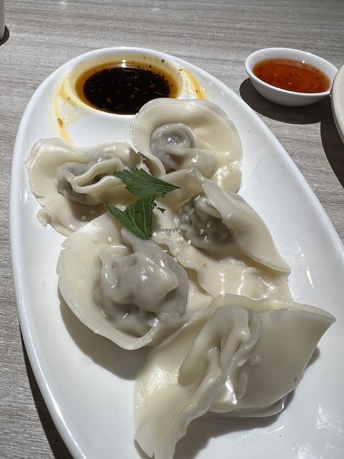 Chilli dumplings  at Fortunate Taste Vegetarian Restaurant 幸福蔬食餐廳 in 