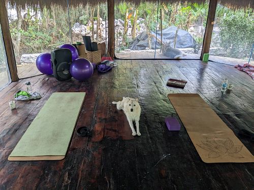  at Holistic Tikun - Cozumel Retreat & Eco Center in Cozumel
