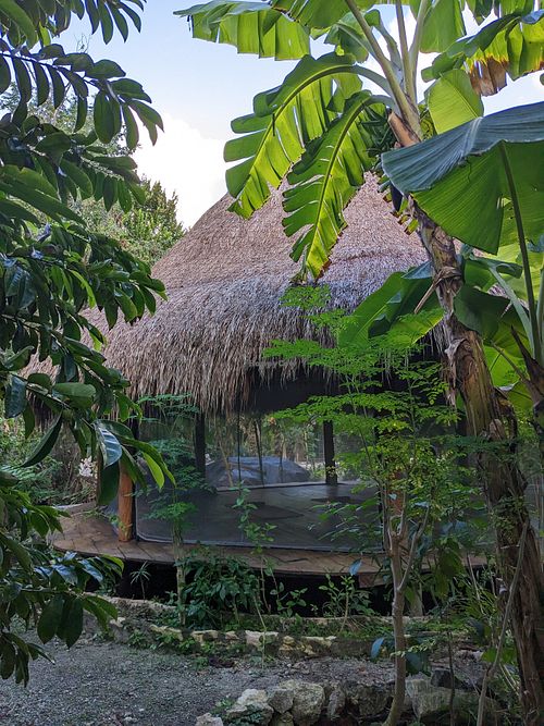 Palapa where yoga, massage and other activities are held at Holistic Tikun - Cozumel Retreat & Eco Center in Cozumel