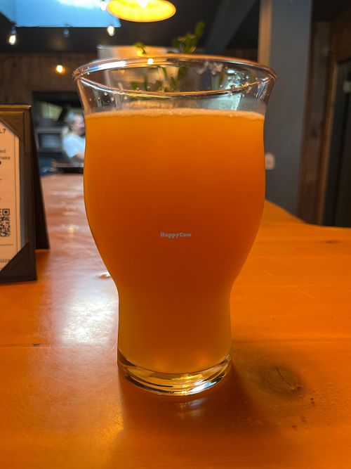 Great to drink while you’re waiting for your takeout, and it’s vegan 🥰  at Nico's Pizzeria in Revelstoke