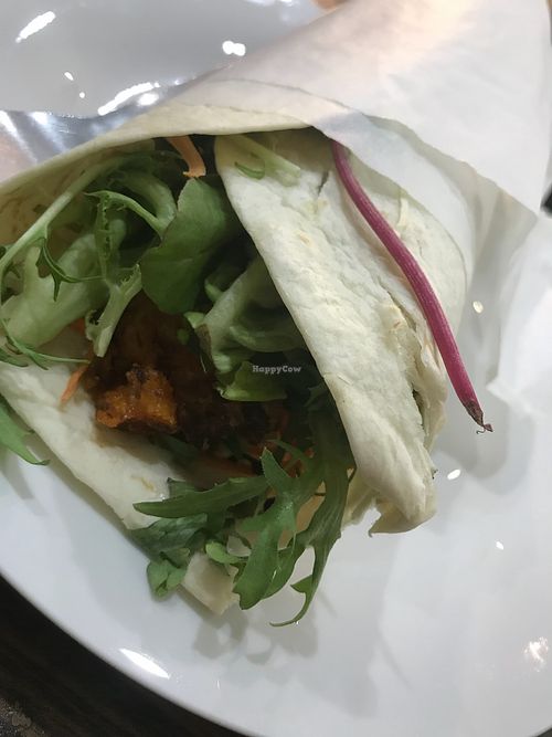 Wrap at Hari's Vegetarian in Haymarket