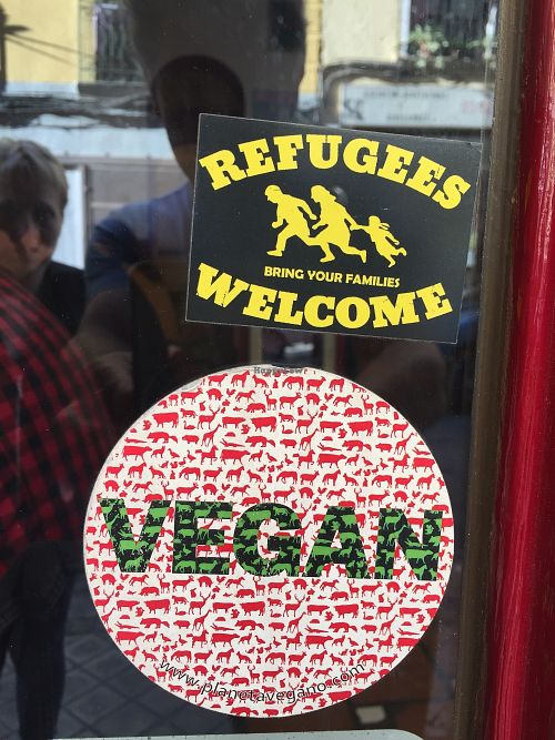 Window at La Oveja Negra in Madrid