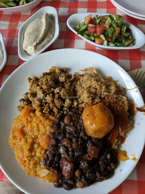 Variety plate - you choose 5 dishes and 2 salads  at Teva Ha'ochel - Hummus Tov in Kfar Saba