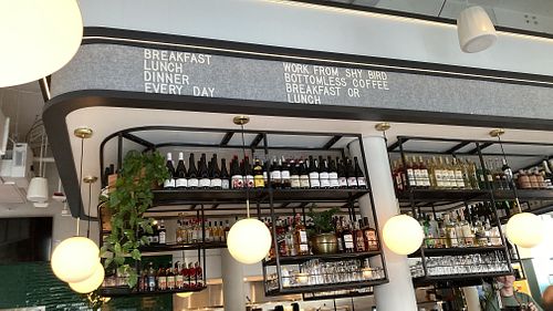 Bar area  at Shy Bird in Boston