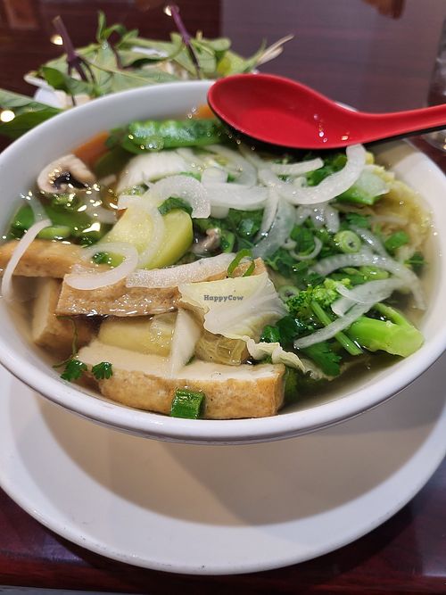 Vegetable pho with tofu at Pho #1 Vietnamese Cuisine in Harrisburg
