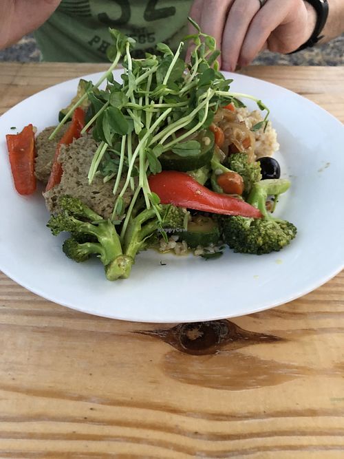 Stewed seitan  at Good Earth Organic Eatery in West Cape May