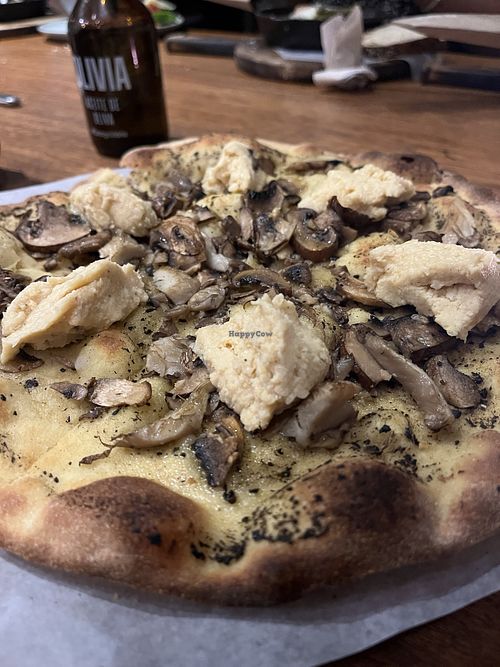 Pizza de trufas y hongos  at Olivia in Barranquilla