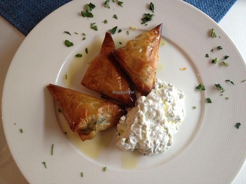 vege dumplings with tzaziki at Hellada Greek Tavern and Pizzeria in Krakow