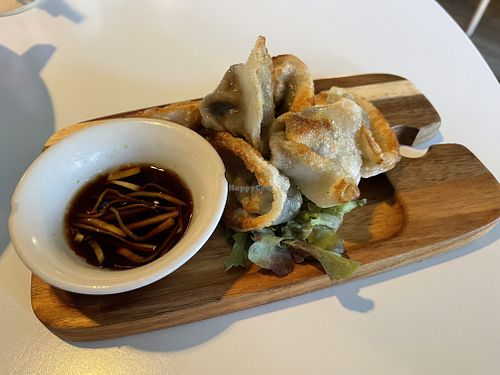 mushroom dumplings   at Faith Hope Love Malaysian Cafe in Napier