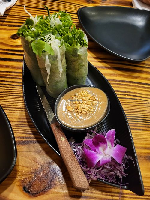 Tofu Spring rolls with peanut sauce at Lemongrass by Sip Saam Thai in Cedar Park