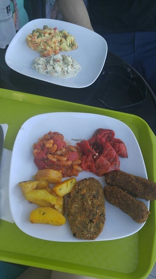 Snitel and Mici at Casa Vegetariana in Constanta