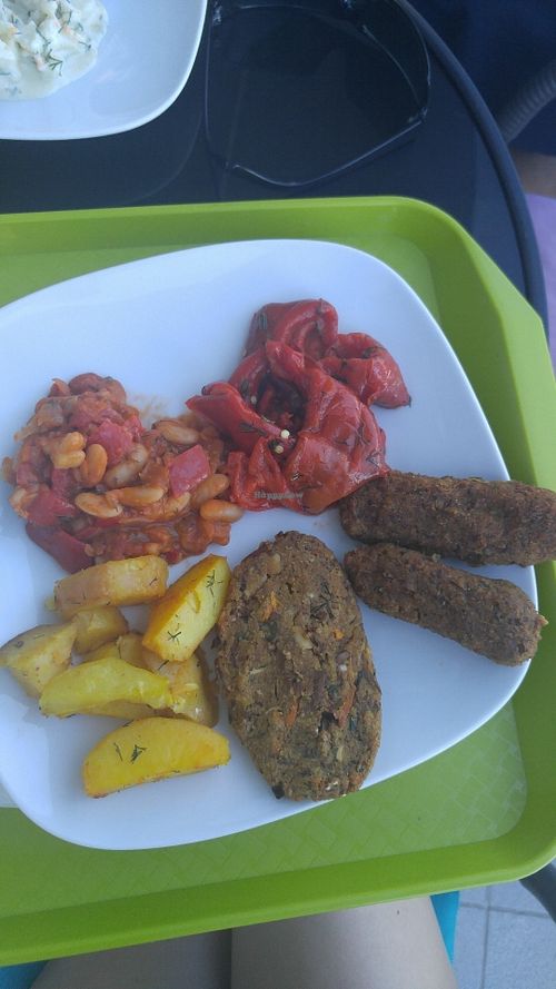 Snitel and Mici at Casa Vegetariana in Constanta